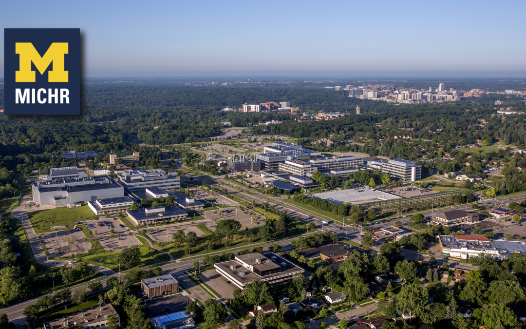 Zoom Background – Aerial
