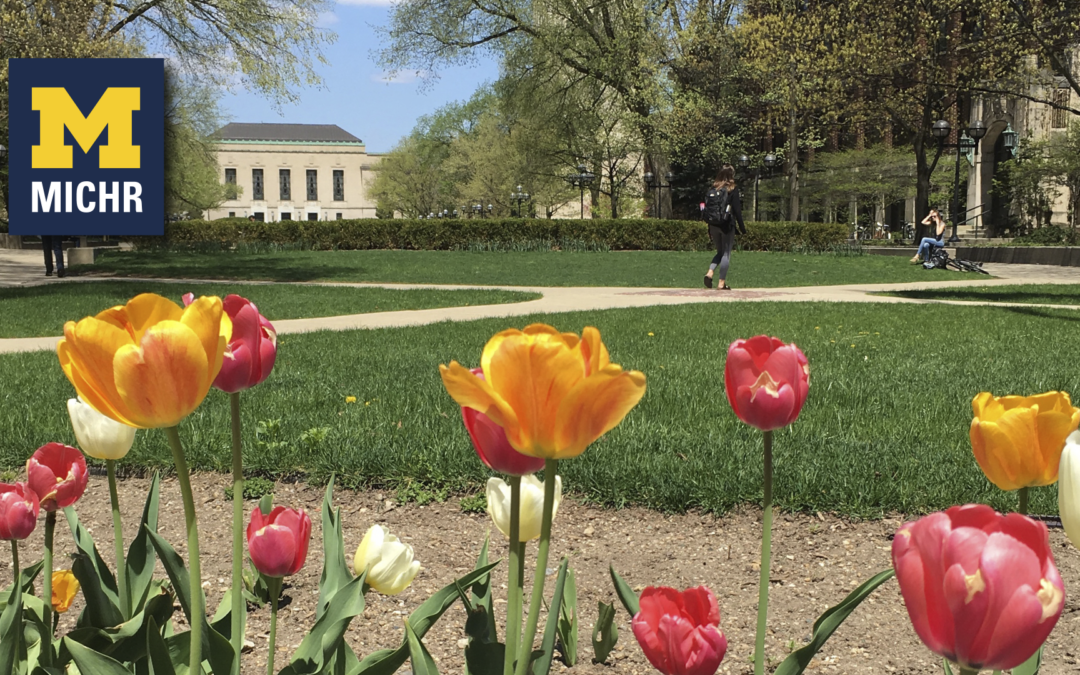 Zoom Background – Tulips