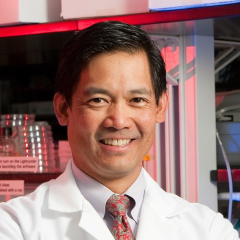 Vincent B. Young